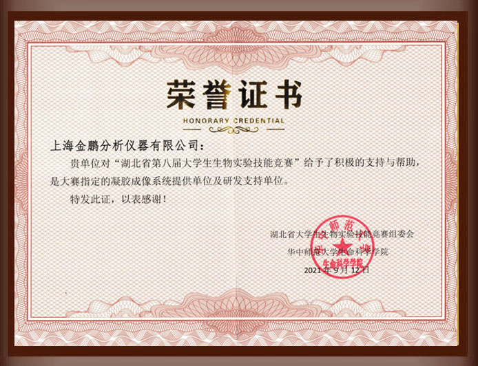 凝胶成像系统